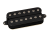 DP707.png