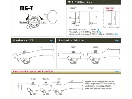 MG-T.jpg