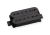 Holcomb-6string-Bridge.png