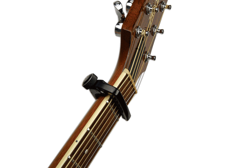 PW-CP-07_detail1_1.png