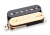 Slash-neck-Reverse-Zebra-APH-2n.png