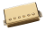 slash-bridge-Gold.png