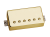 Tonerider-GD-B.png