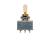 TG-31-GD-IV.png