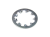 LW4-a.png