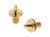 STUD-GTM-M8-GD.png
