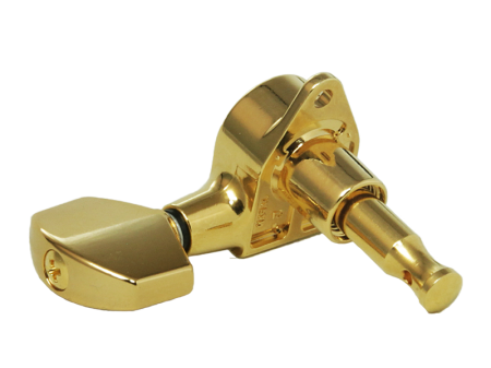 SG301-01-GD-R-b.png