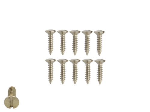 Go to product HOSCO VSS-01 vintage style pickguards screws (N)