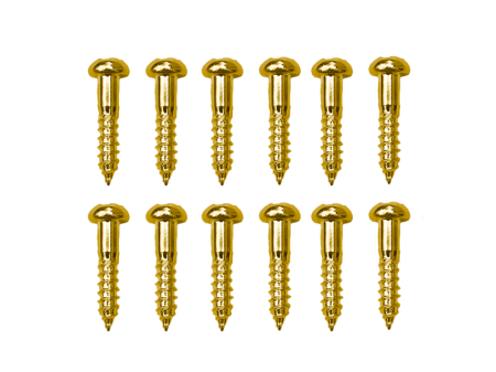 WS-19G-12PC-SET.png