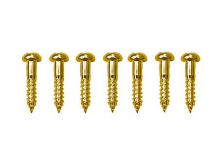 WS-19G-SET.png