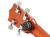 PW-CT-21-g.jpg