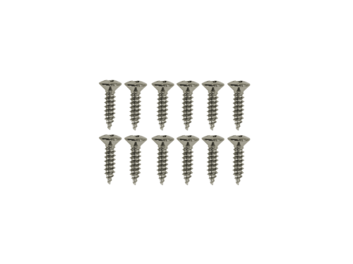 Przejdź do produktu Wkręty do mocowania pickguardów GOTOH TS-01 (N)