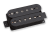 Nazgûl-bridge-Black1.png