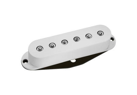 DP111W.jpg