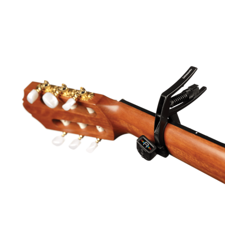 CP-13b.png