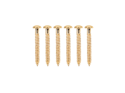Przejdź do produktu Wkręty do przystawek single-coil VPARTS SPU-2 (GD)