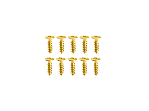 Przejdź do produktu Wkręty do pickguardów VPARTS SC6-G (GD)