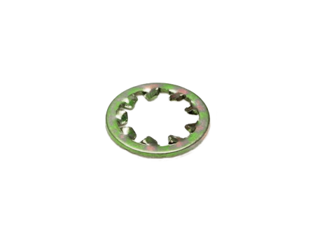 LWS-4.png
