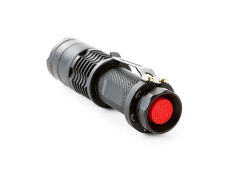 DGT01-c.jpg