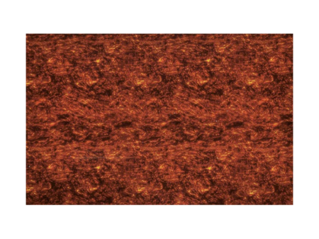 PG-434-T.png