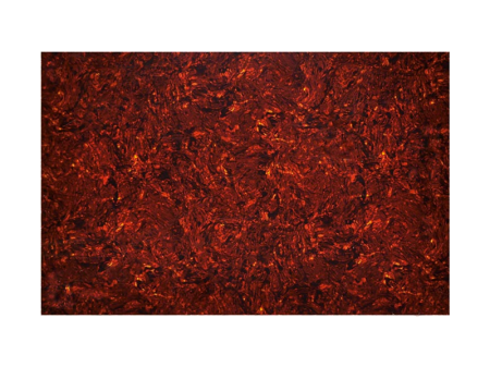 PG-434-TI.png