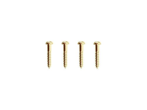 Przejdź do produktu Wkręty mocowania docisków strun GOTOH WS-11 (GD)