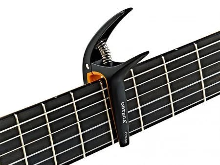 TWCAPO-SBK-c.jpg