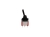 SW494-BK-b.jpg