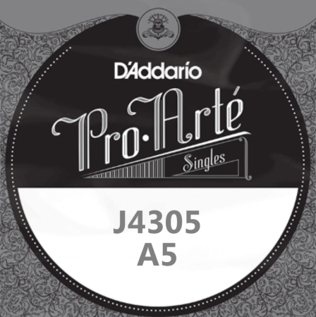 J4305.jpg