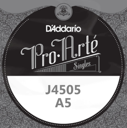 J4505.jpg