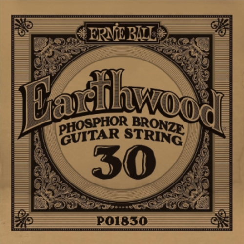 Go to product ERNIE BALL Phosphor Bronze Single String 030w