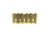 PMS-IVS-GD-b.jpg