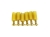 PMS-IVT-GD-b.jpg