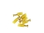 PMS-IVT-GD-c.jpg
