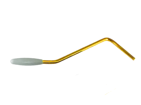 VSVG-GD-arm.png