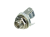 NYS229.png