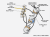 strat-wiring.png