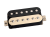 AC-B-zebra.png