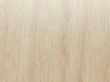 FS5001-B.png