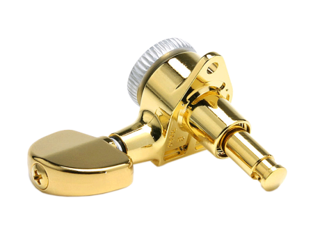 SG-301-MGT-GD-Rb.png