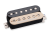 Jason-Becker-Perpetual-Burn-TB-Zebra.png