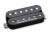 Jason-Becker-Perpetual-Burn-TB-Black.png