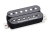 Jason-Becker-Perpetual-Burn-HB-bridge-Black.png