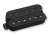 Nazgûl-Trembucker-bridge-Black2.png