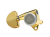 SG-301-MGT-GD-Ra.png