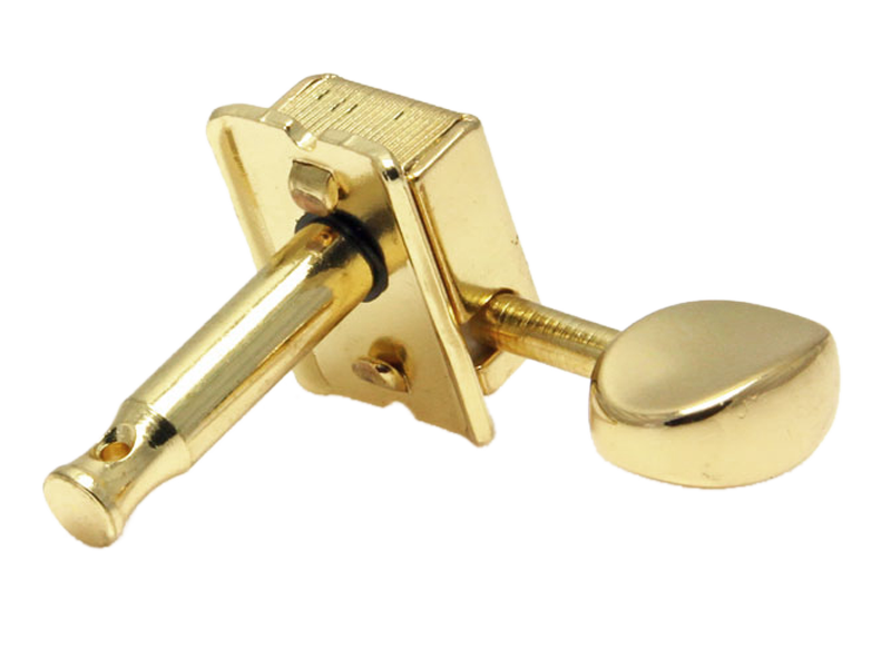TU-VG55-GD-b.png