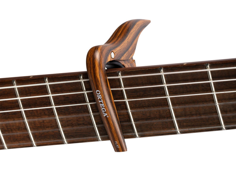OCAPO-WND-2.jpg